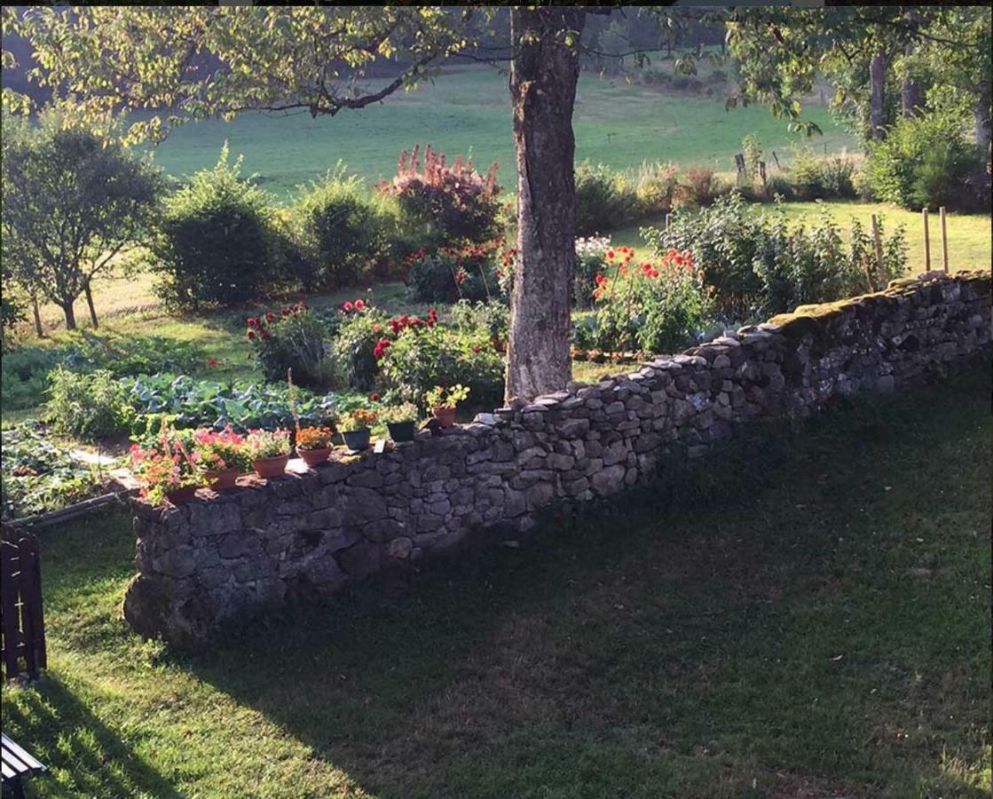 Les Fayettes Hotel Montregard ภายนอก รูปภาพ
